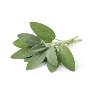 Sage seeds (Organic)