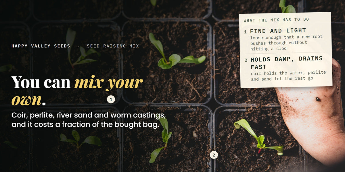 A cell tray of seedlings in dark seed raising mix, labelled fine and light and holds damp, drains fast, under the headline you can mix your own