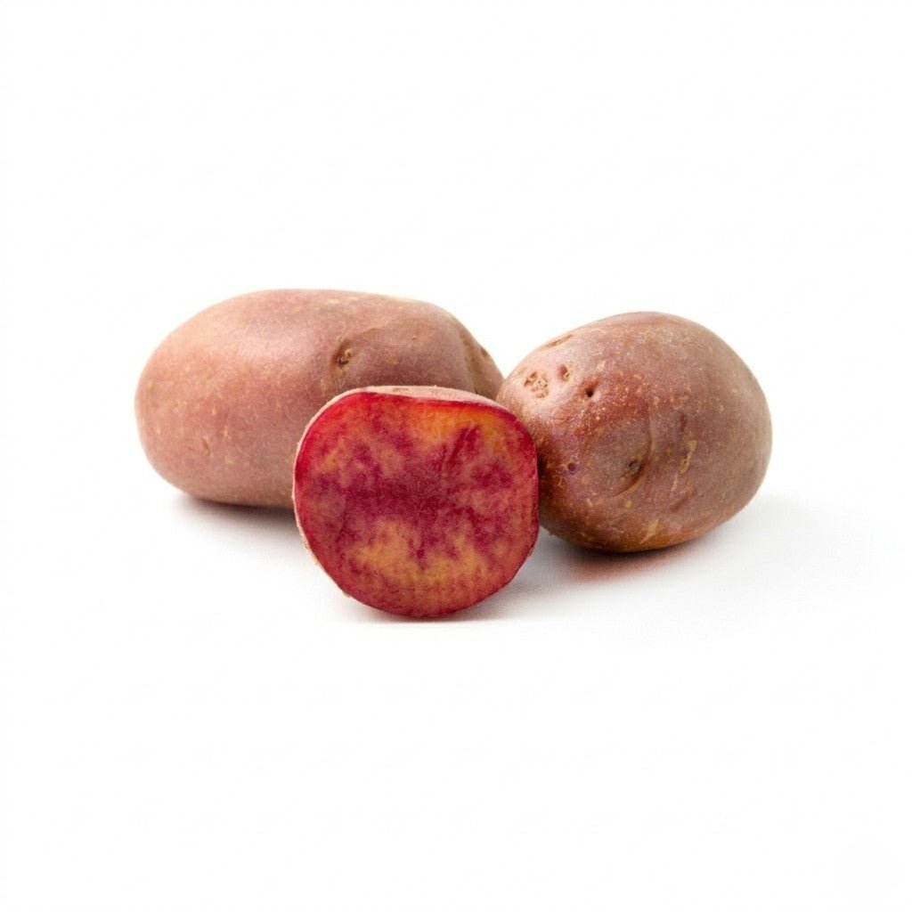 Seed Potato - Lily Rose [PRE - ORDER] - Happy Valley Seeds