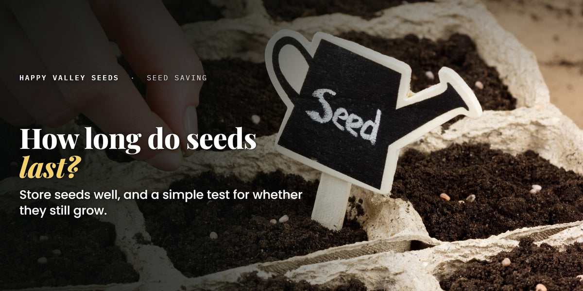 How long do seeds last? Store seeds well, and a simple test for whether they still grow.