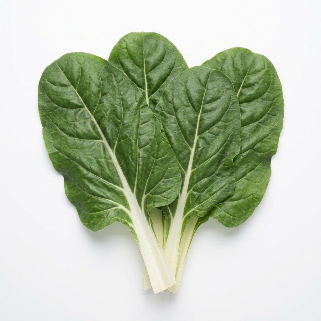 Silverbeet - Fordhook Giant seeds (Organic) - Happy Valley Seeds