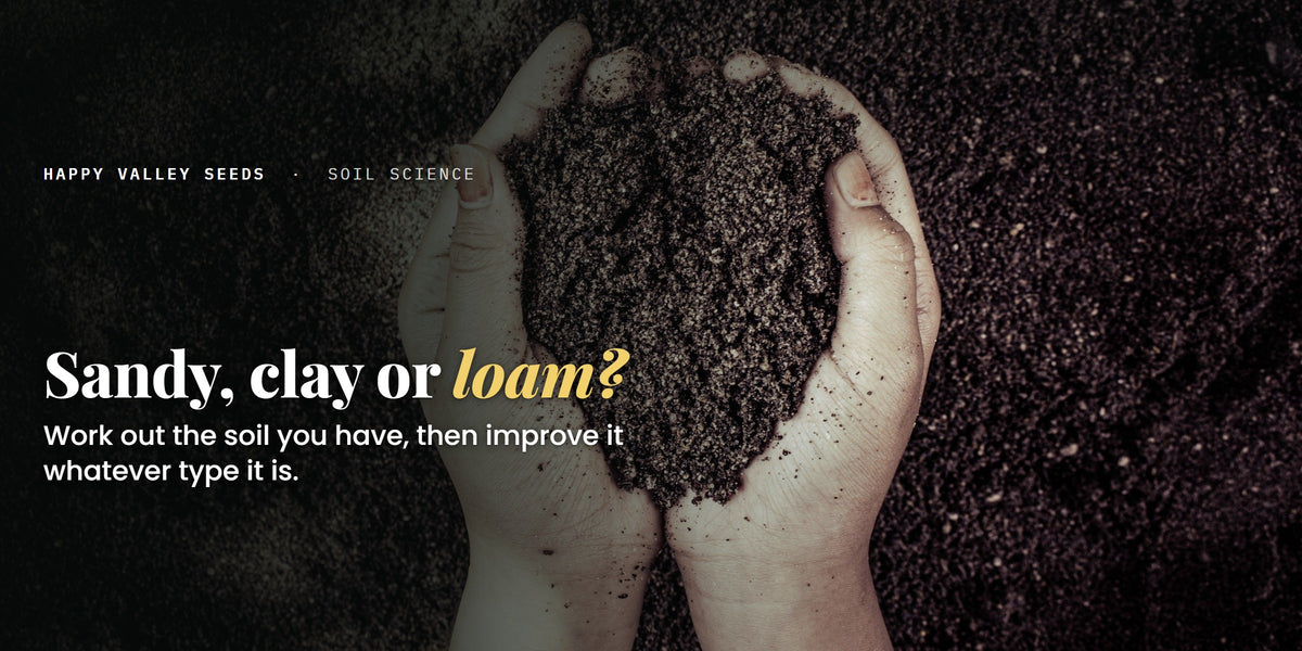 Sandy, clay or loam? Work out the soil you have, then improve it whatever type it is.