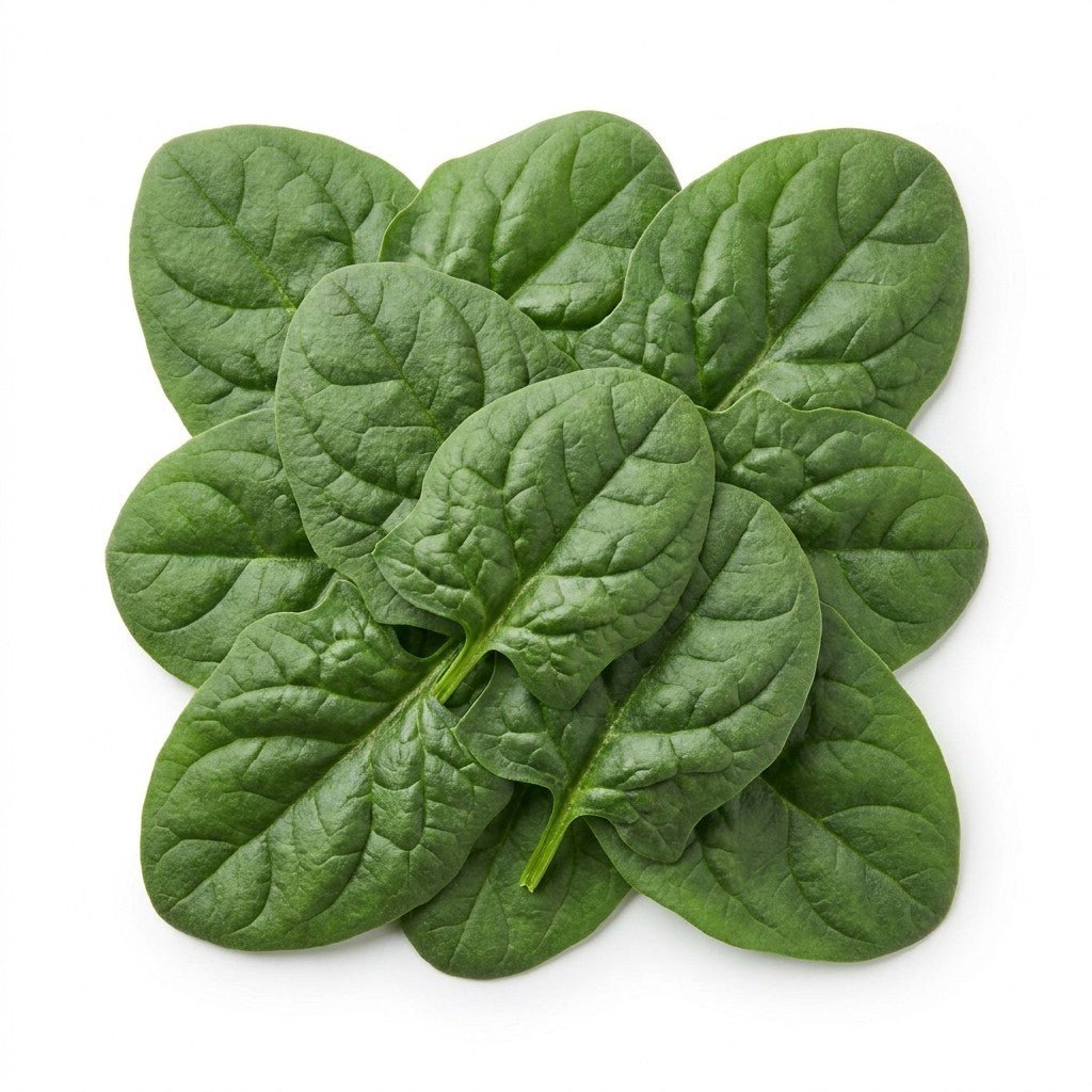 Spinach - Bloomsdale seeds (Organic) - Happy Valley Seeds