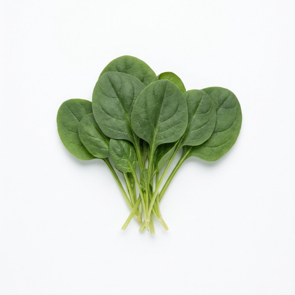 Spinach - Matador seeds (Organic) - Happy Valley Seeds