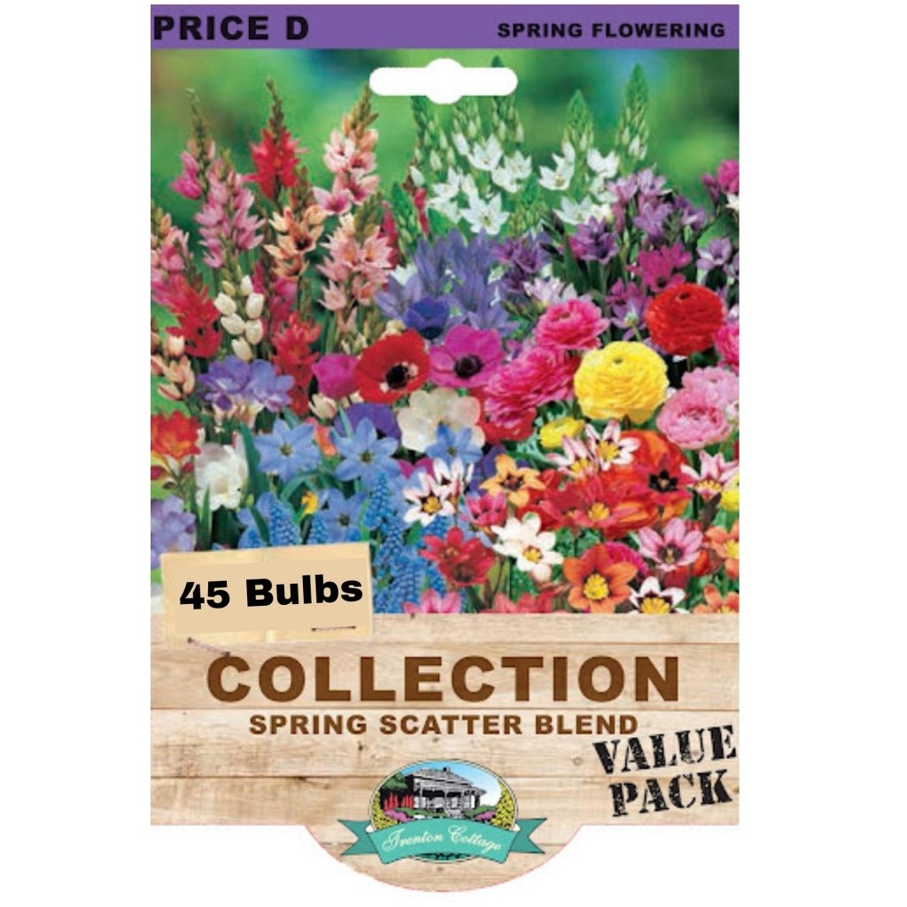 Spring Scatter Blend (Pack of 45 Bulbs) - Happy Valley Seeds