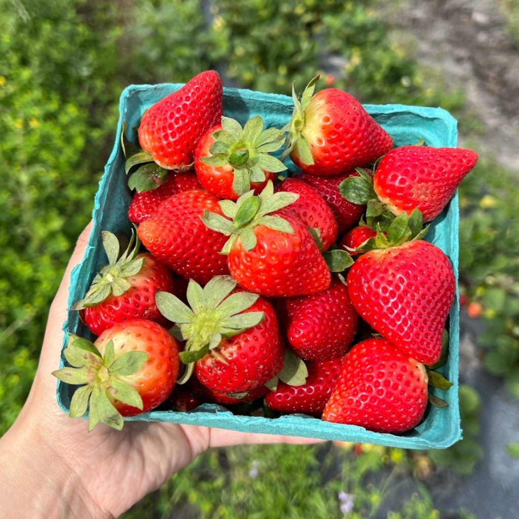Strawberry