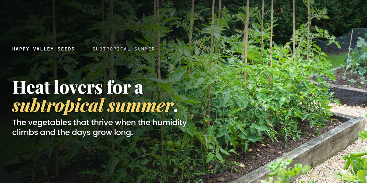 Heat lovers for a subtropical summer. The vegetables that thrive when the humidity climbs and the days grow long.