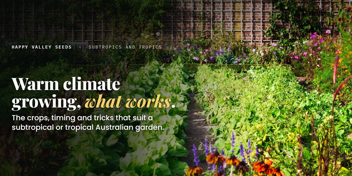Warm climate growing, what works. The crops, timing and tricks that suit a subtropical or tropical Australian garden.