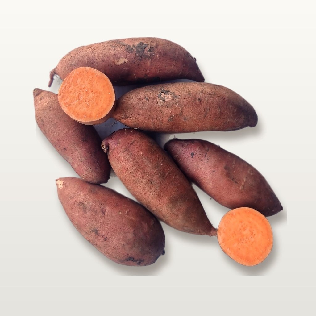Sweet Potato - Beauregard Tubers - Happy Valley Seeds