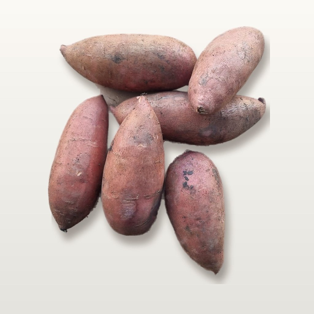 Sweet Potato - Beauregard Tubers - Happy Valley Seeds