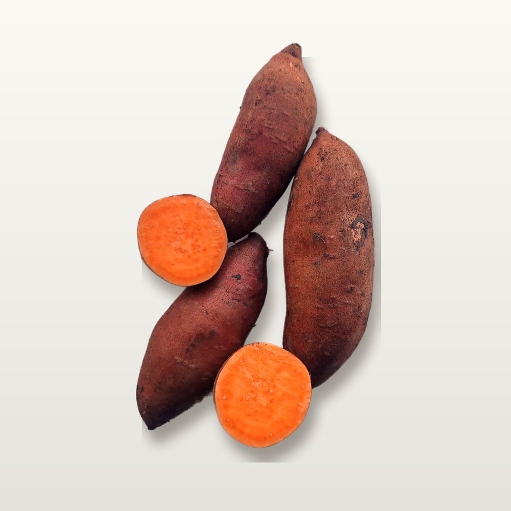 Sweet Potato - Beauregard Tubers - Happy Valley Seeds