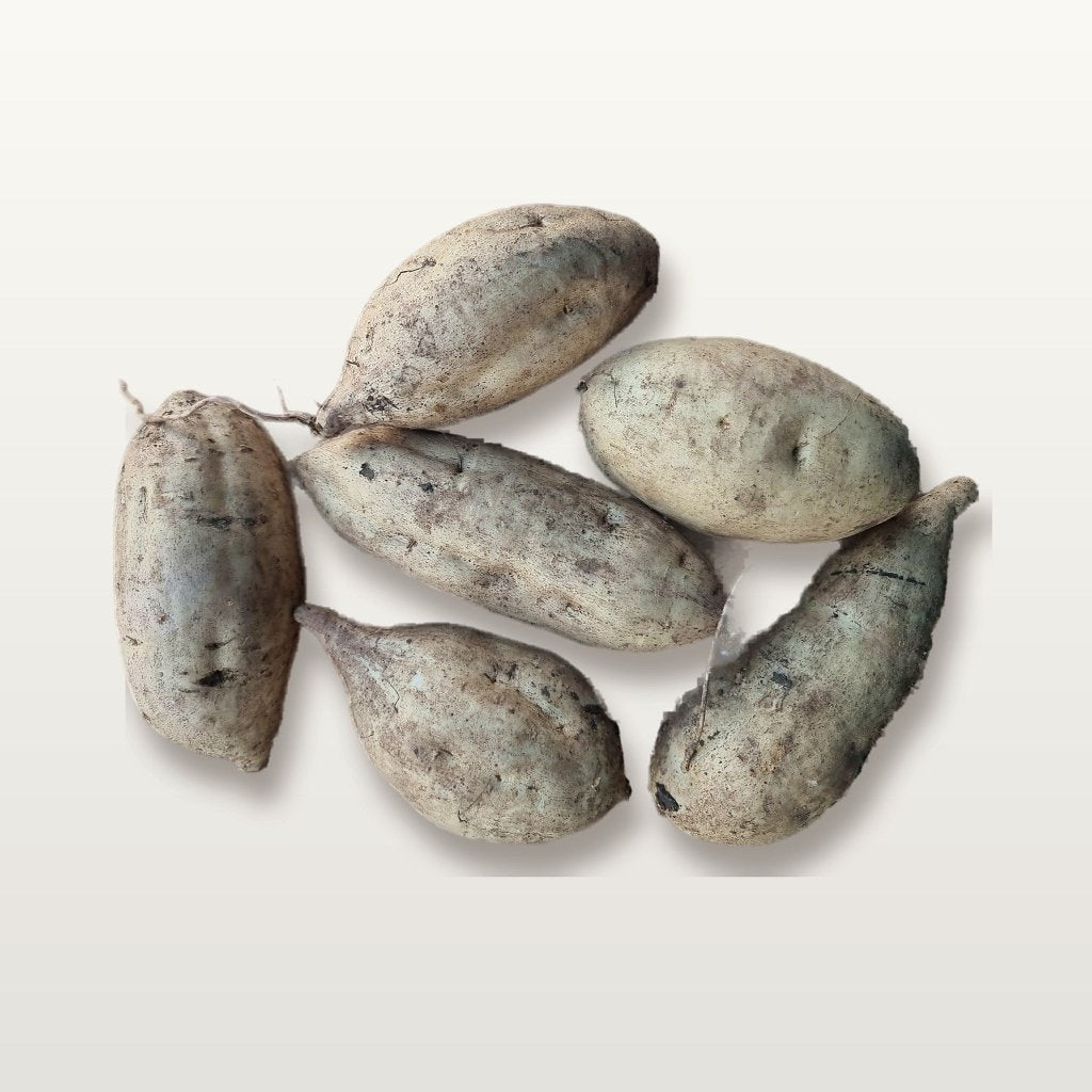 Sweet Potato - Eclipse Tubers - Happy Valley Seeds