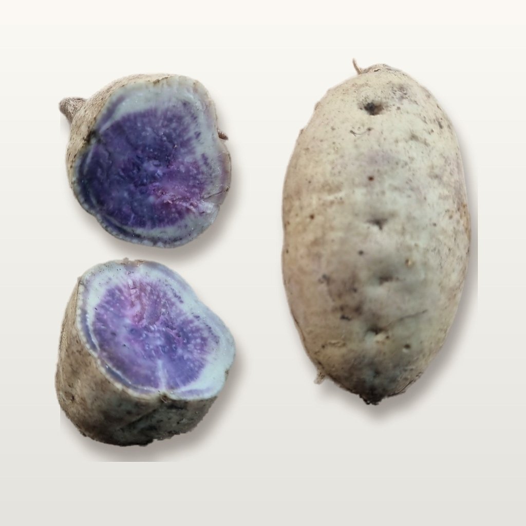 Sweet Potato - Eclipse Tubers - Happy Valley Seeds