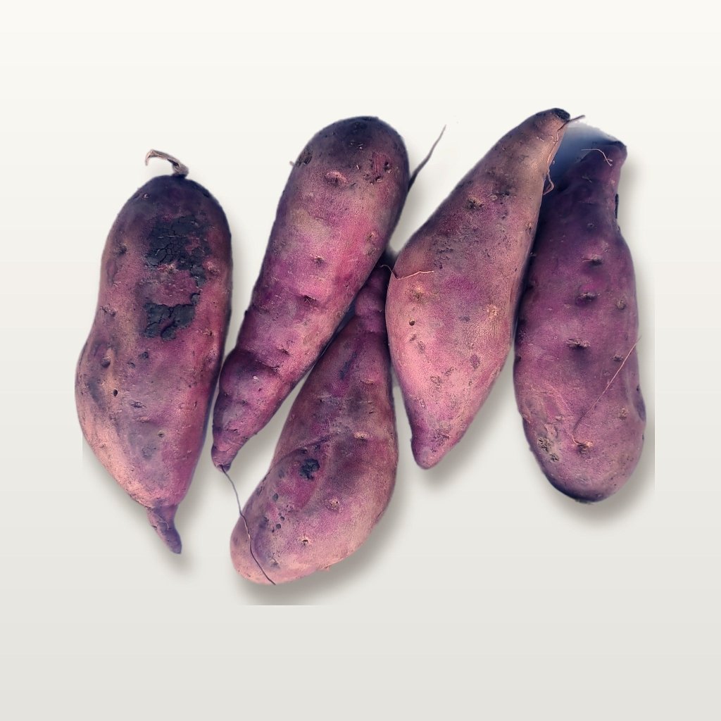 Sweet Potato - Northern Star Tubers - Happy Valley Seeds