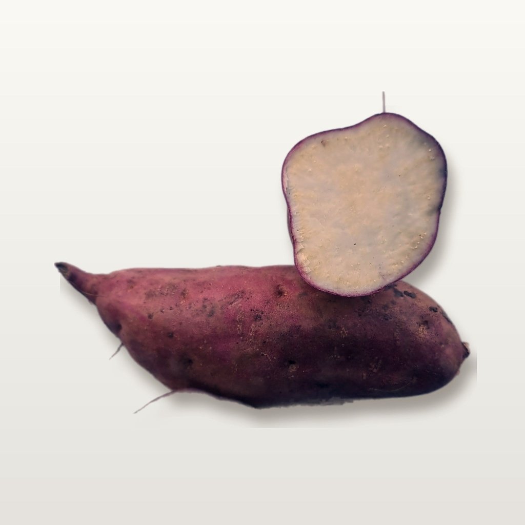 Sweet Potato - Northern Star Tubers - Happy Valley Seeds