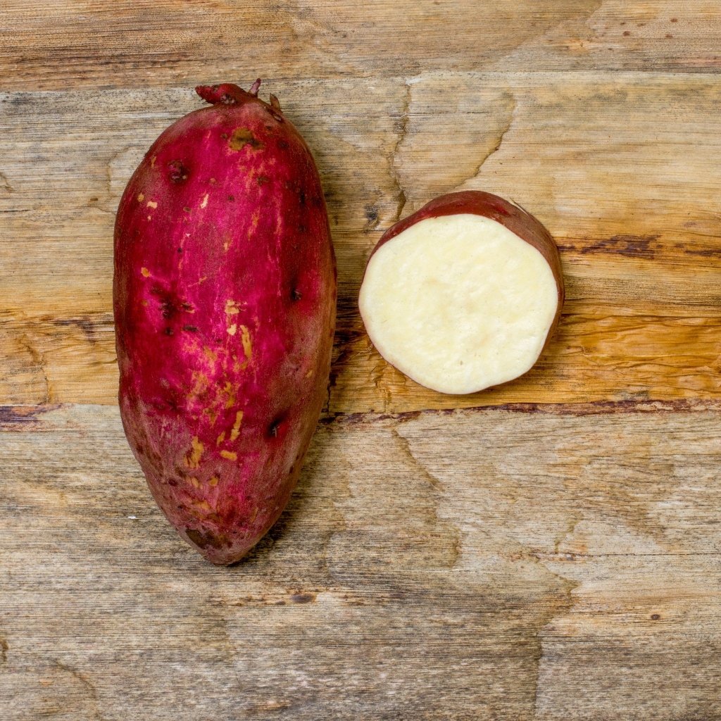Sweet Potato - Northern Star Tubers - Happy Valley Seeds