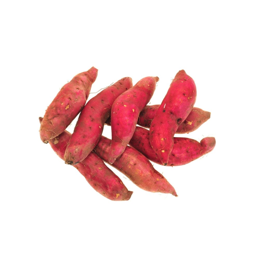 Sweet Potato - Northern Star Tubers - Happy Valley Seeds