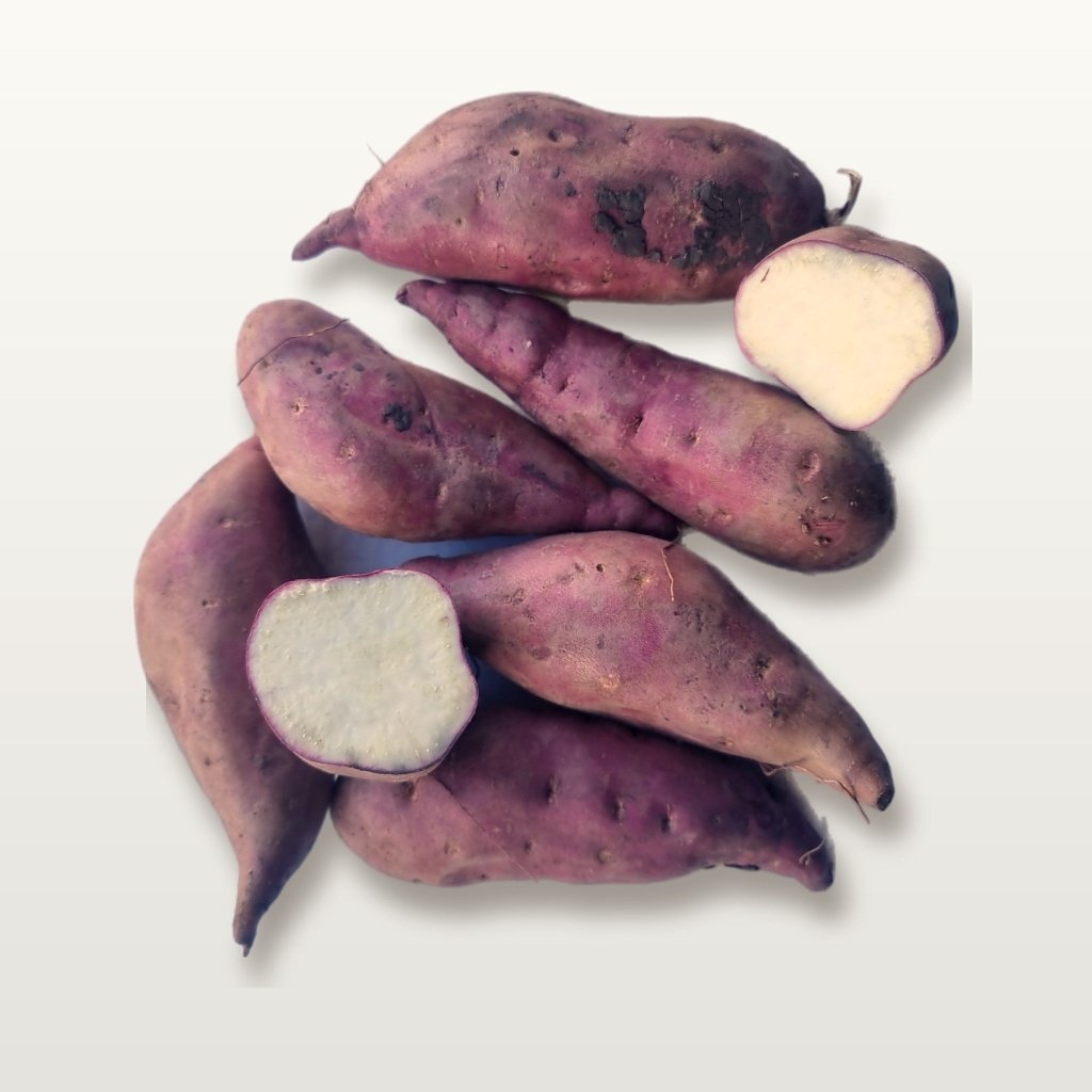 Sweet Potato - Northern Star Tubers - Happy Valley Seeds