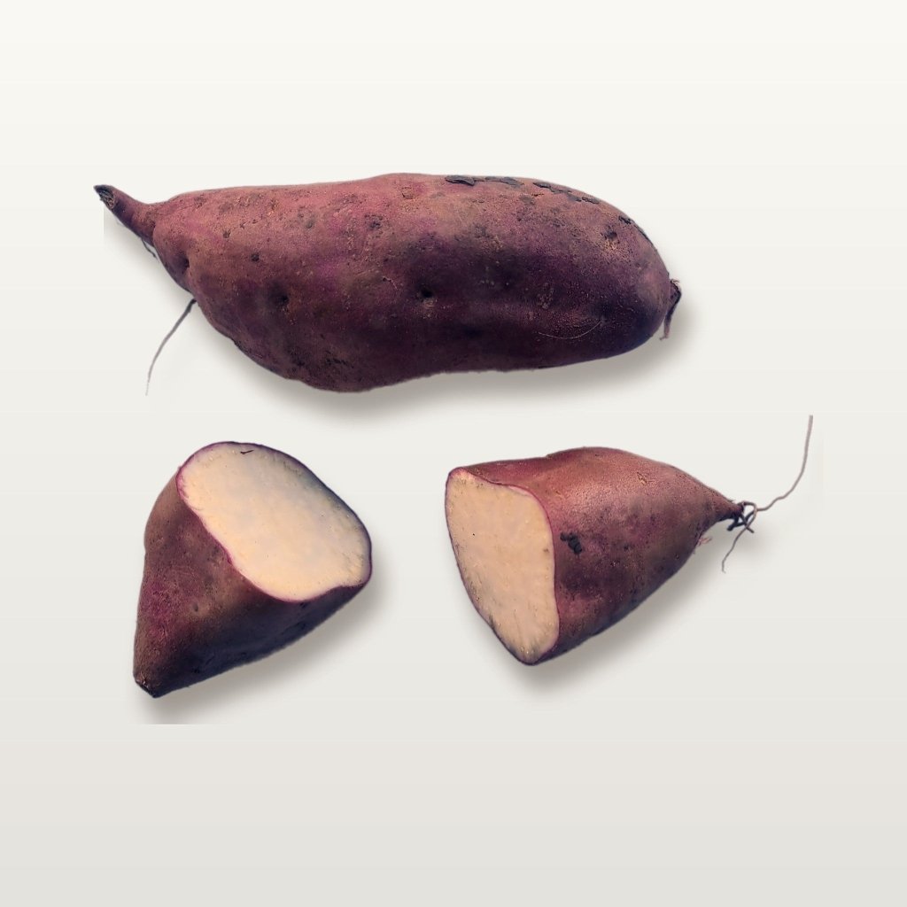 Sweet Potato - Northern Star Tubers - Happy Valley Seeds