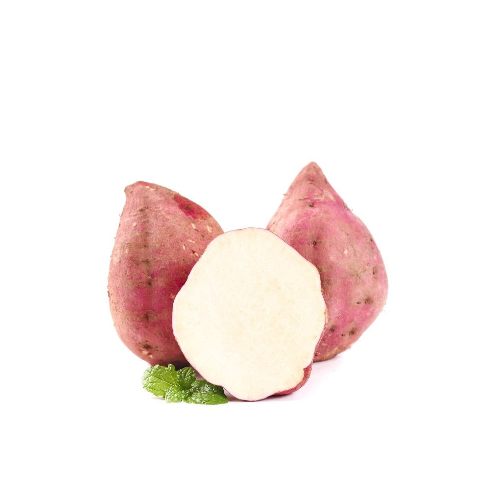 Sweet Potato - Northern Star Tubers - Happy Valley Seeds