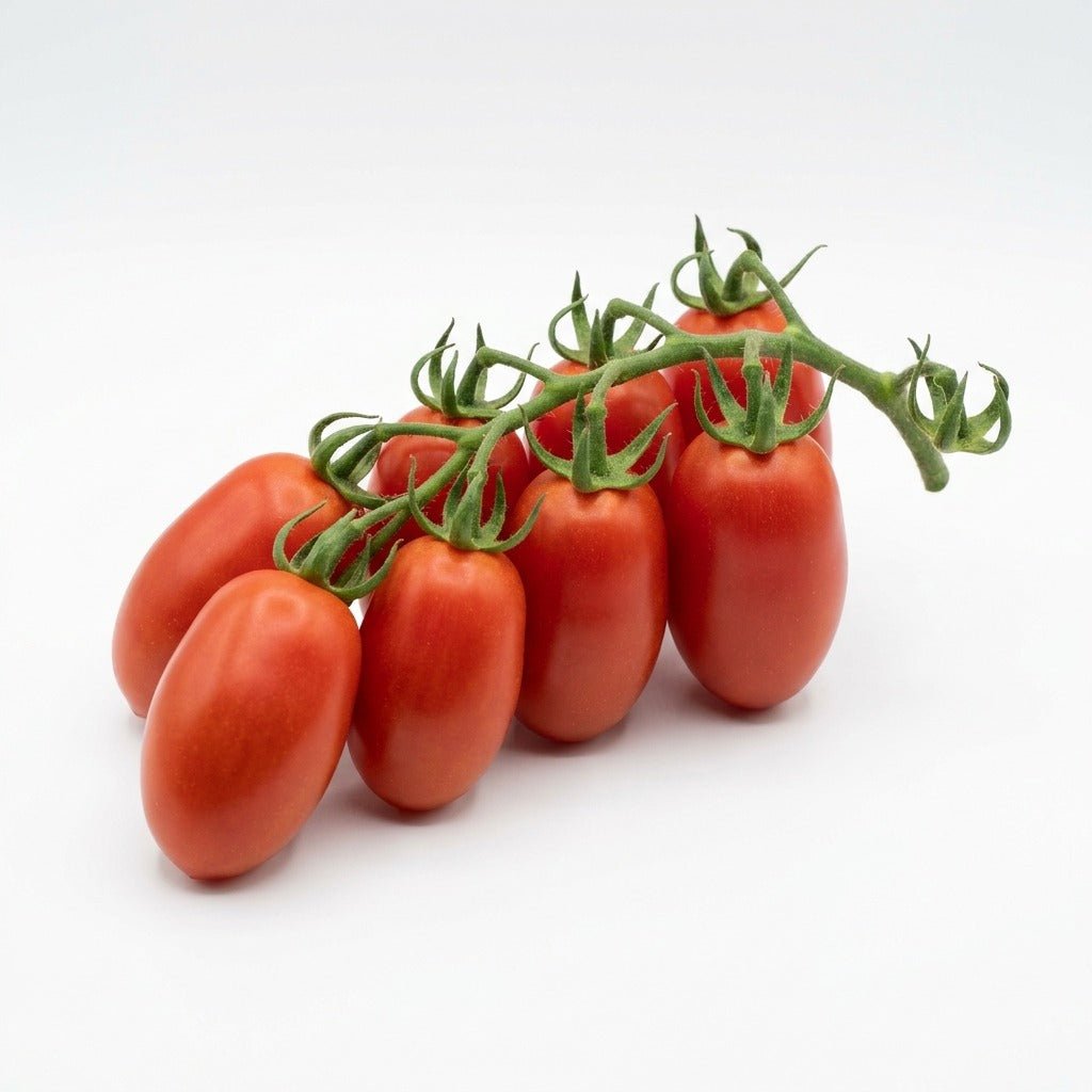 Tomato - San Marzano seeds (Organic) - Happy Valley Seeds