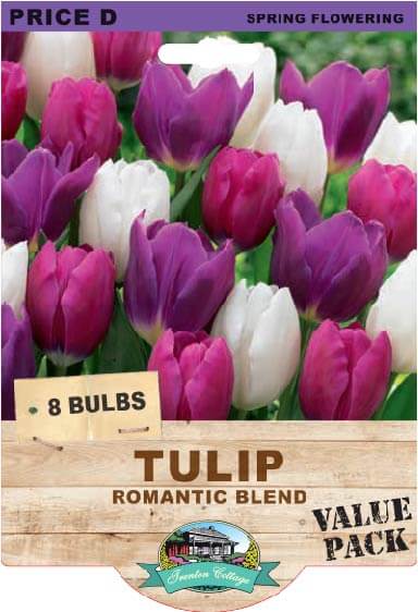 Tulip Romantic Blend (Pack of 8 Bulbs) - Happy Valley Seeds
