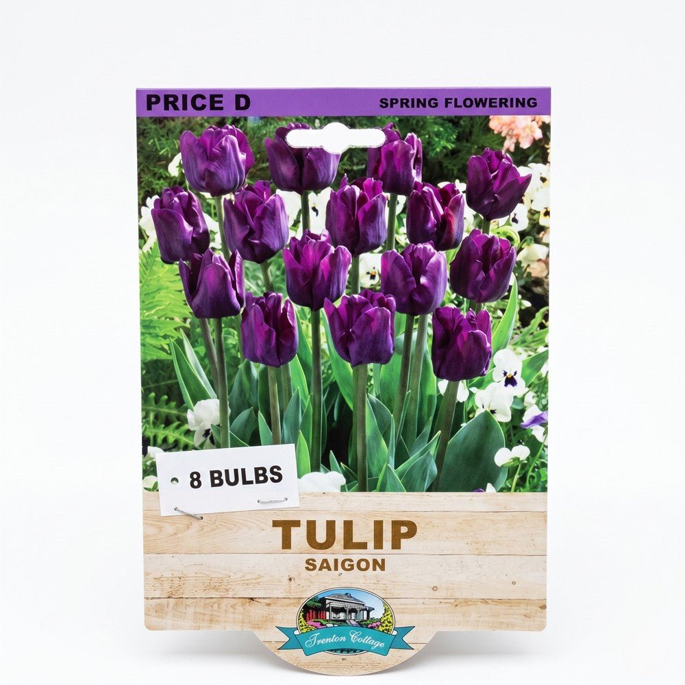 Tulip Saigon (Pack of 8 Bulbs) - Happy Valley Seeds