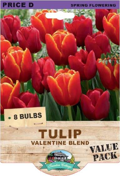 Tulip Valentine Blend (Pack of 8 Bulbs) - Happy Valley Seeds