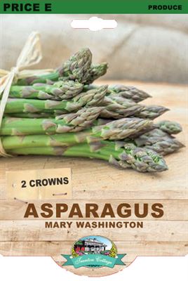 Asparagus Mary Washington (Pack of 2 Crowns) - Happy Valley Seeds
