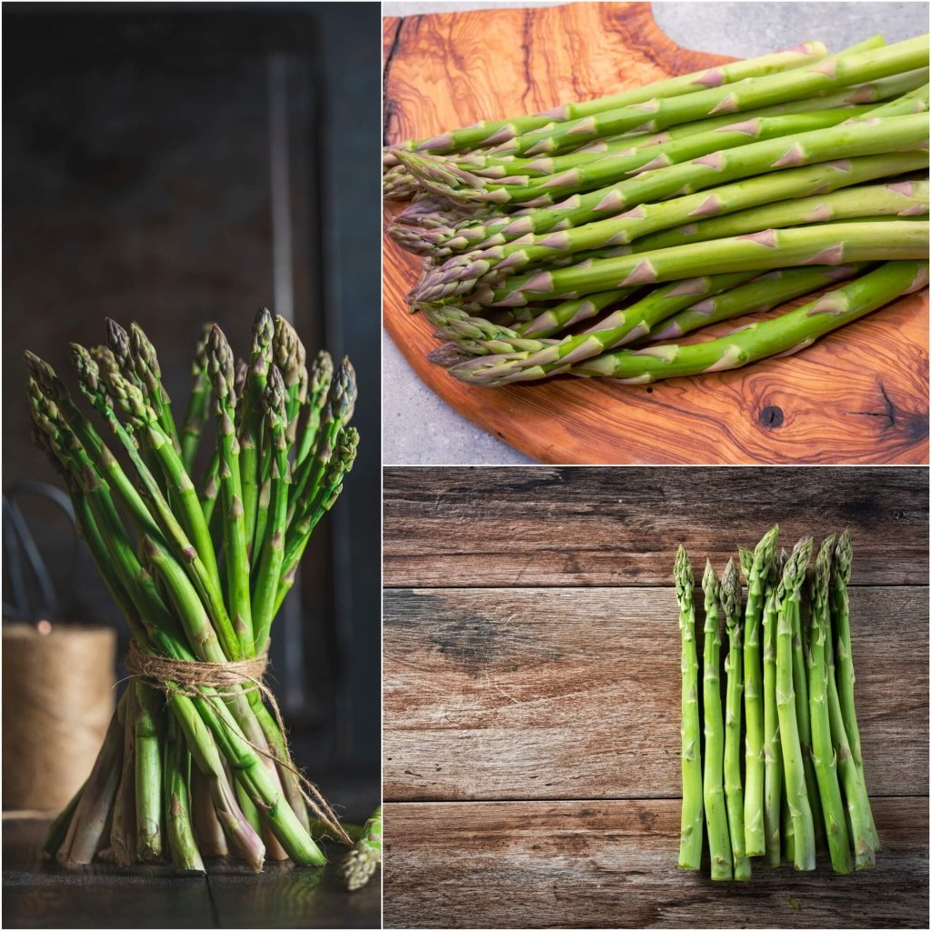 Asparagus - Mary Washington seeds - Happy Valley Seeds