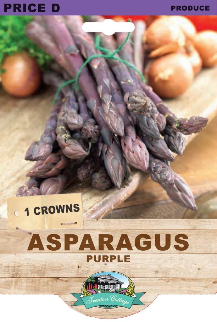 Asparagus Purple (Pack of 1 Crown) - Happy Valley Seeds