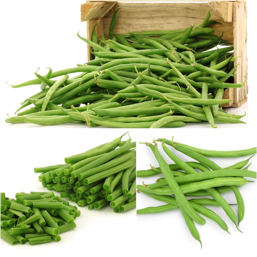Bean Bush - Jade seeds - Happy Valley Seeds