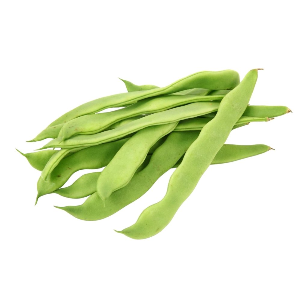 Bean Bush - Mendoza seeds - Happy Valley Seeds
