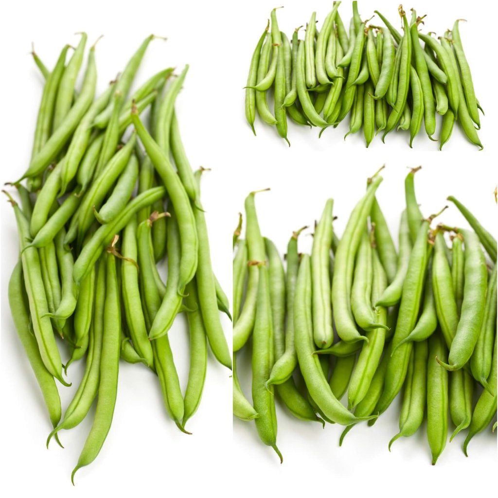 Bean Bush - Strike seeds