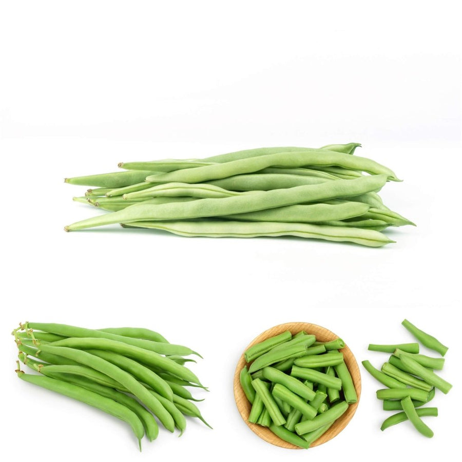 Buy Bean Climbing Kentucky Wonder (Brown Seeded) seeds Online Happy Valley Seeds