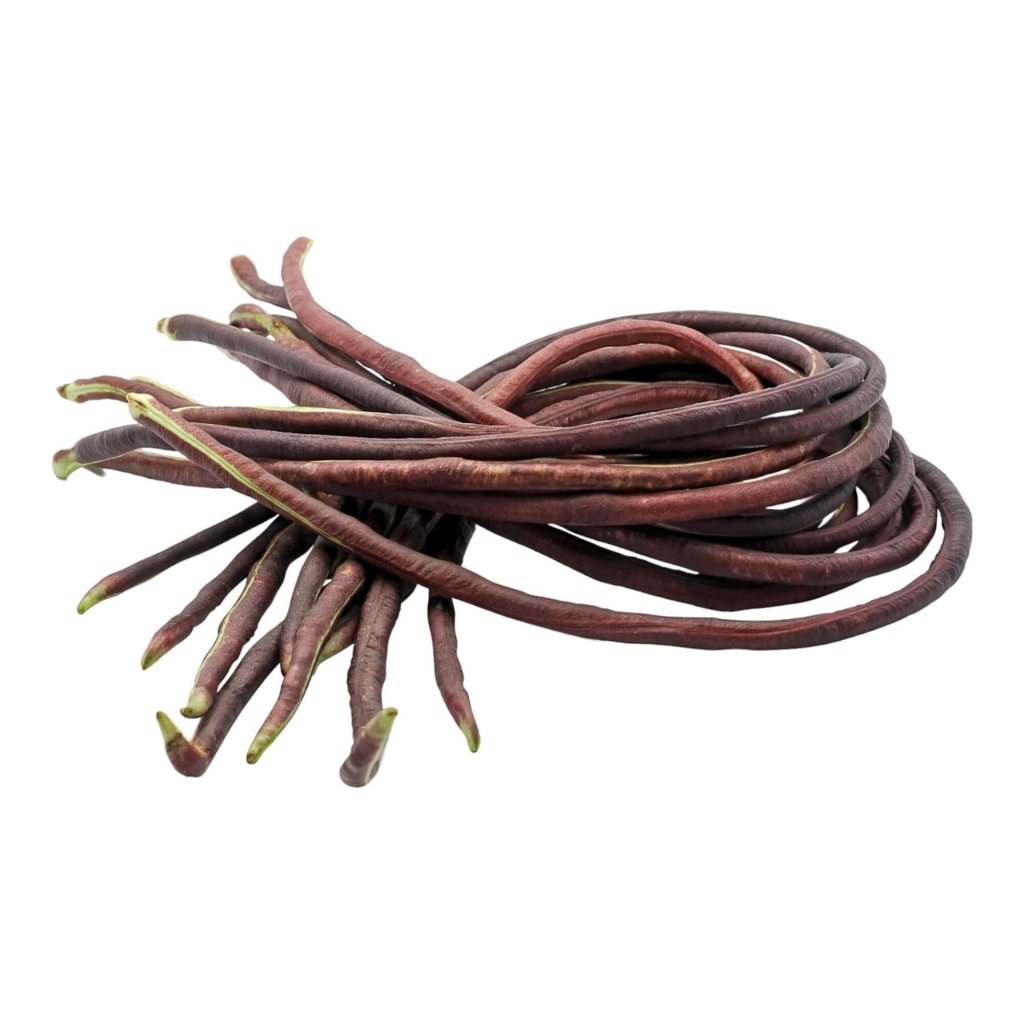 Bean Snake Bush - Burgundy seeds - Happy Valley Seeds