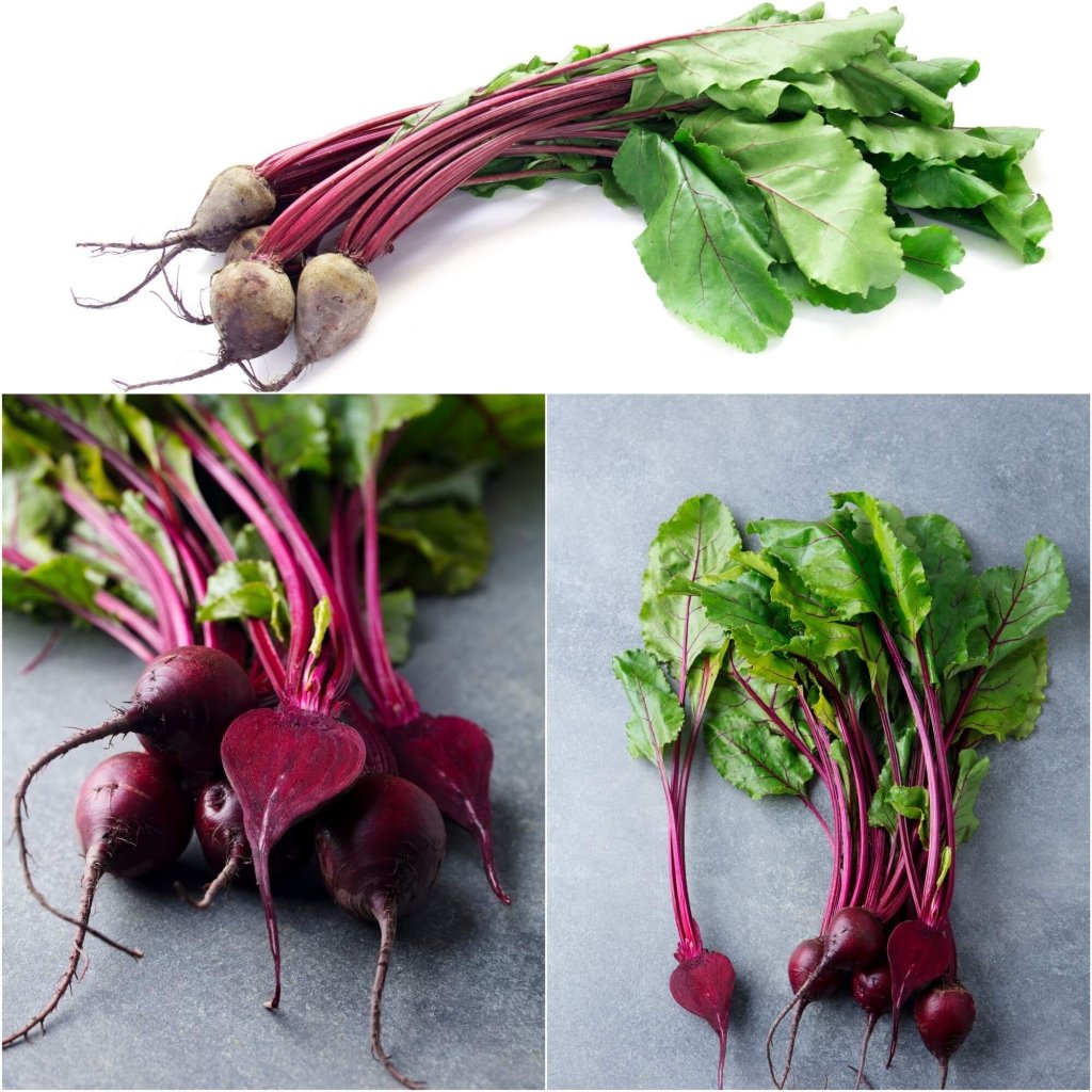 Beetroot - Baby Spinel (Pablo F1) seeds - Happy Valley Seeds