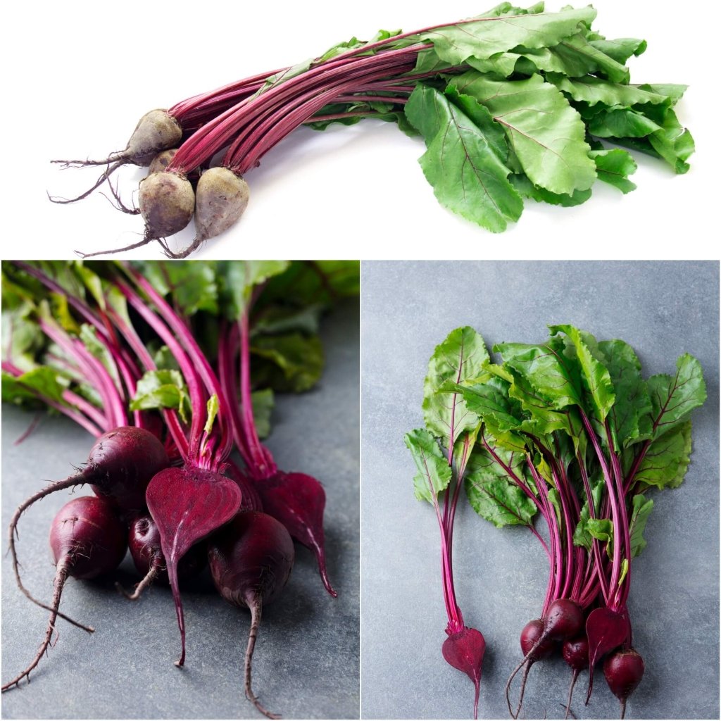 Beetroot - Baby Spinel (Pablo F1) seeds - Happy Valley Seeds