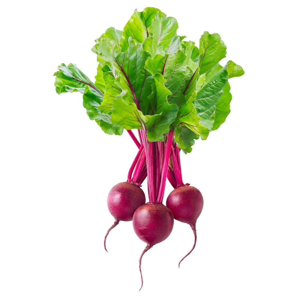 Beetroot - Bilbo F1 seeds - Happy Valley Seeds