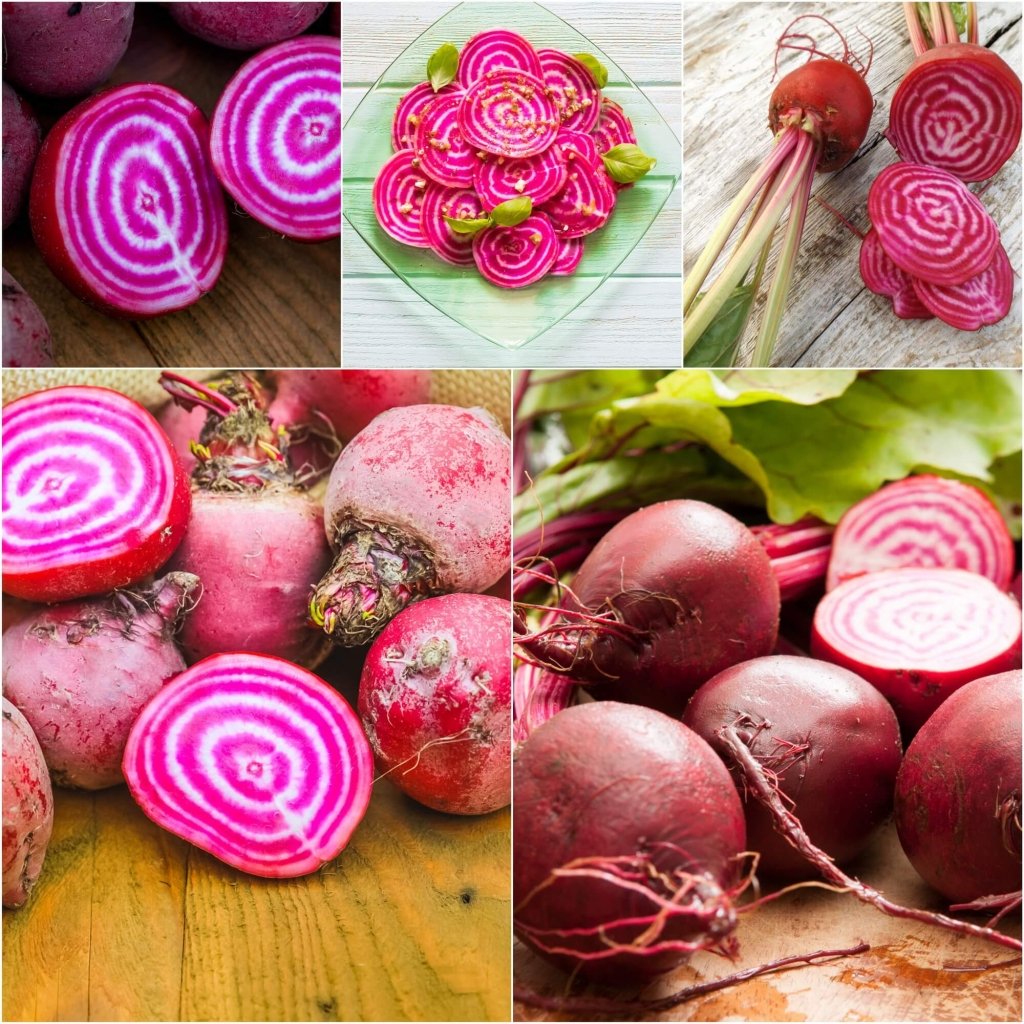 Beetroot - Chioggia seeds - Happy Valley Seeds