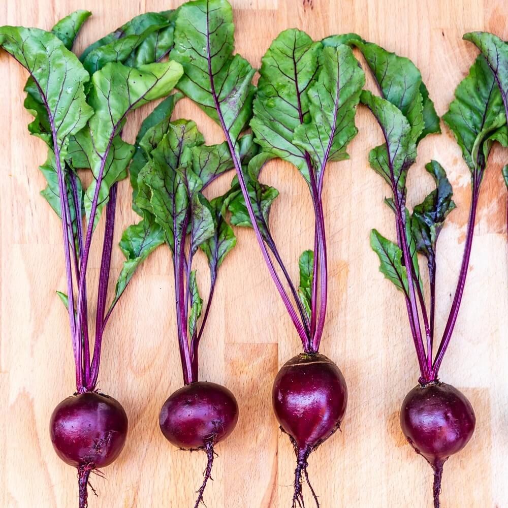 Beetroot - Crosby Egyptian seeds - Happy Valley Seeds
