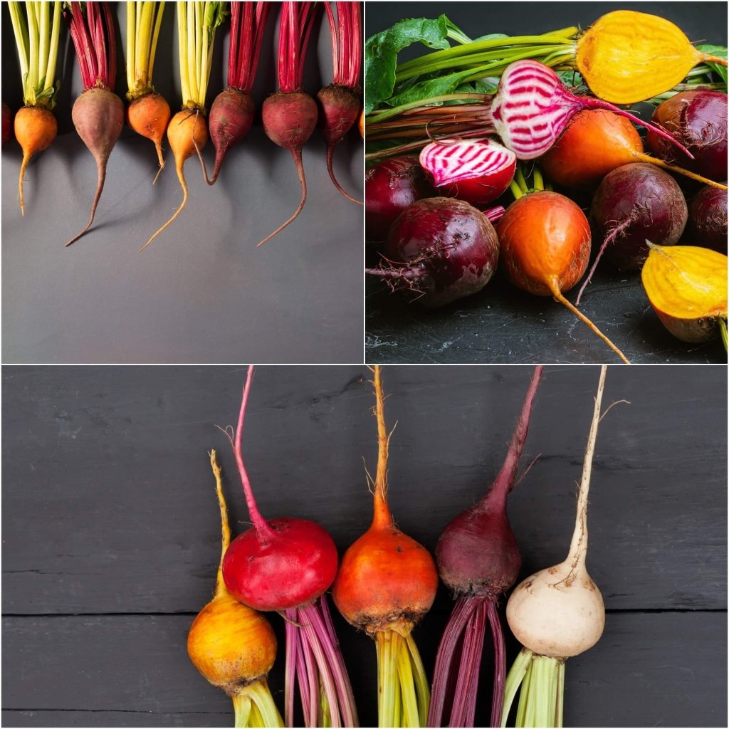 Beetroot - Heirloom Mix seeds - Happy Valley Seeds