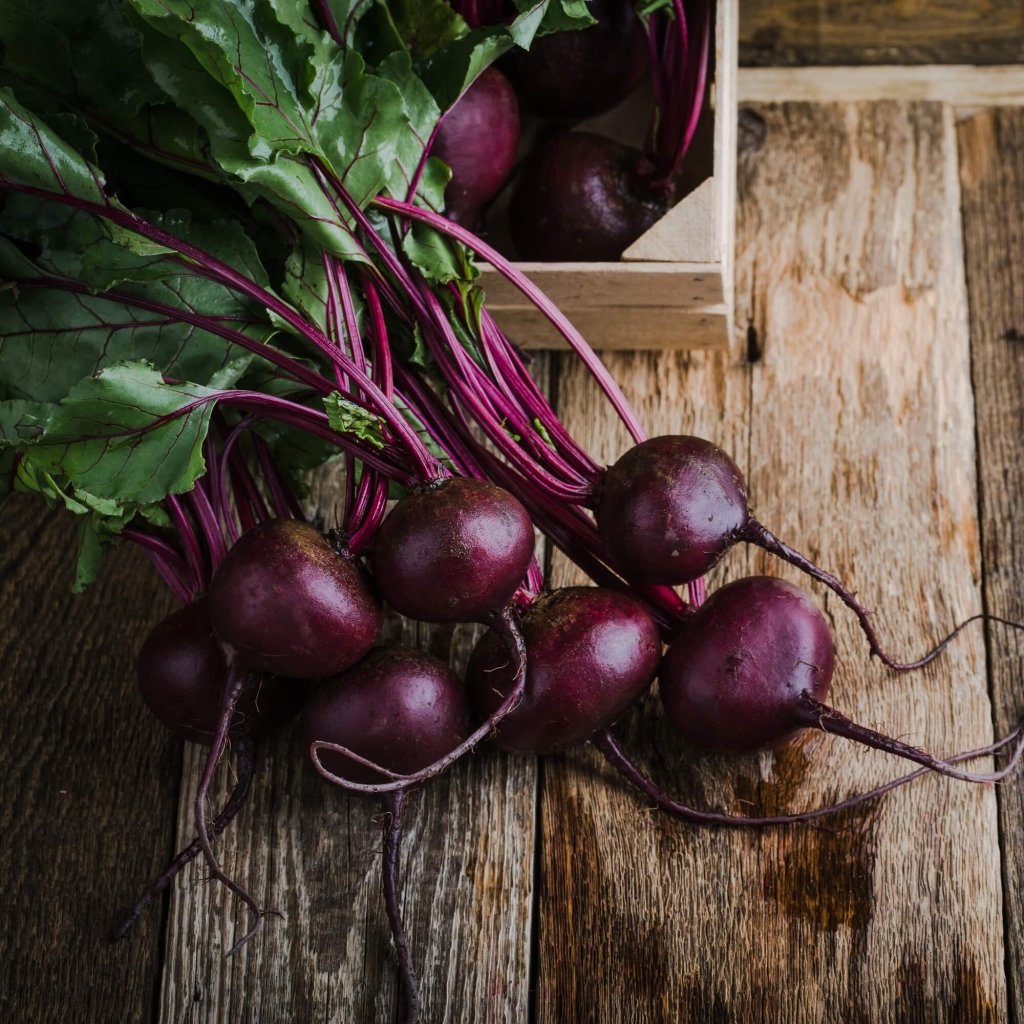 Beetroot - Red Globe F1 seeds - Happy Valley Seeds