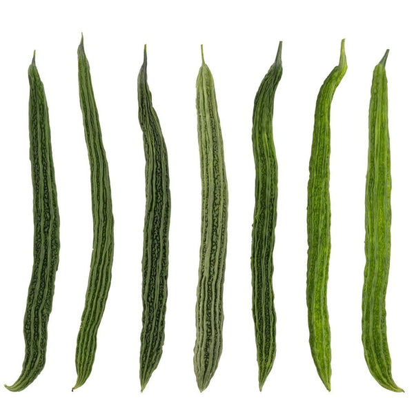 Bitter Melon - Japanese Long seeds