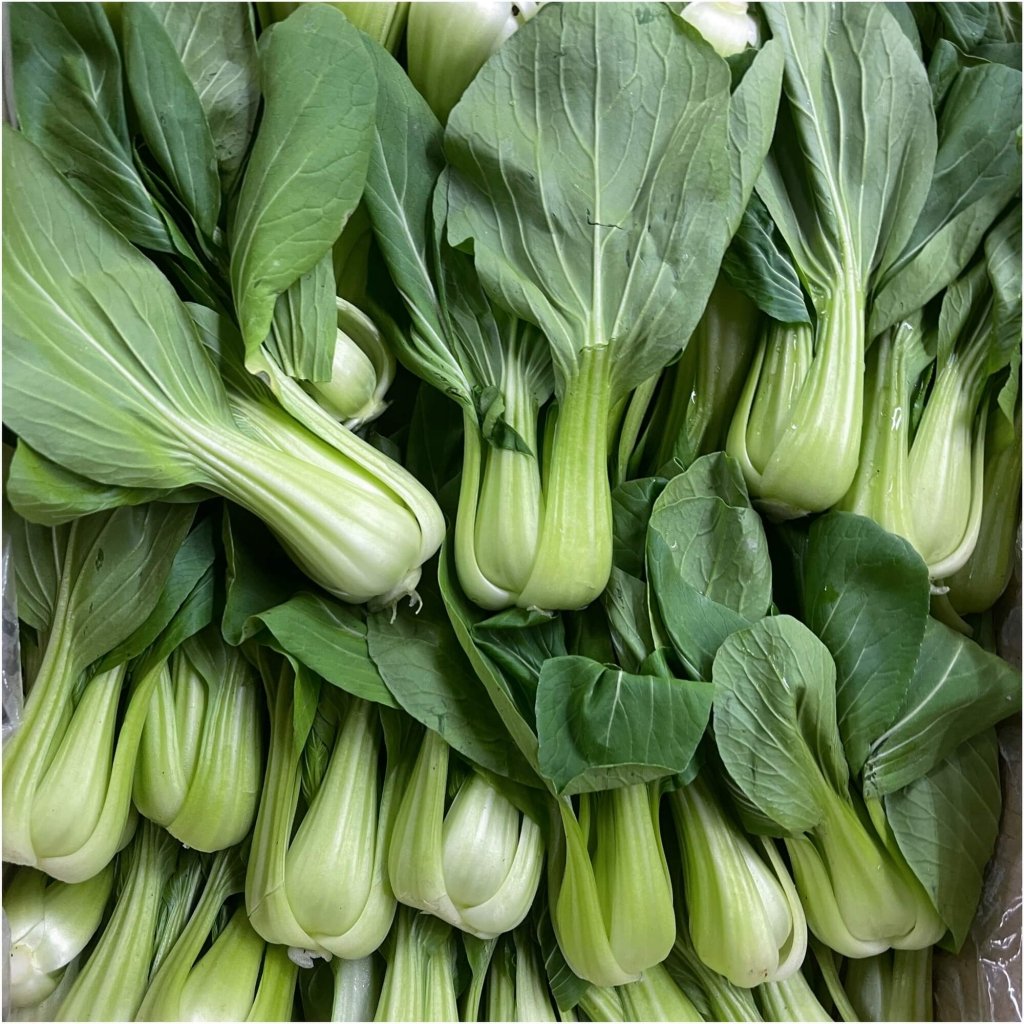 Bok Choy - TaiSai Ching Chang seeds - Happy Valley Seeds