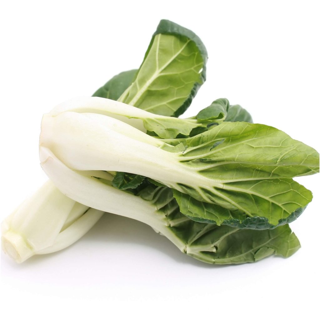 Bok Choy - White Stem (Cantong) seeds - Happy Valley Seeds