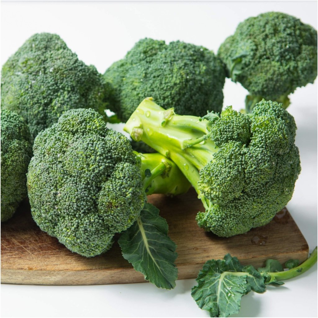 Broccoli - Fusion F1 seeds - Happy Valley Seeds