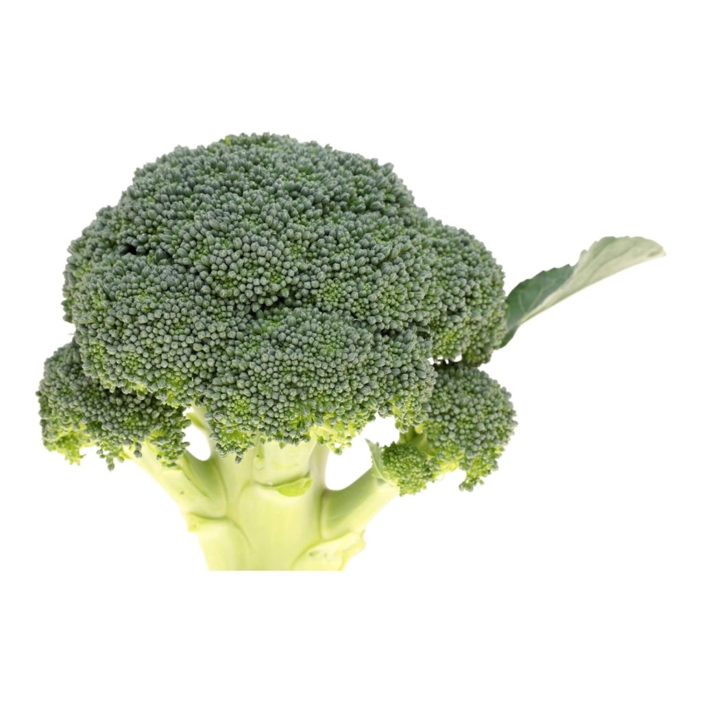 Broccoli - Marathon F1 seeds - Happy Valley Seeds