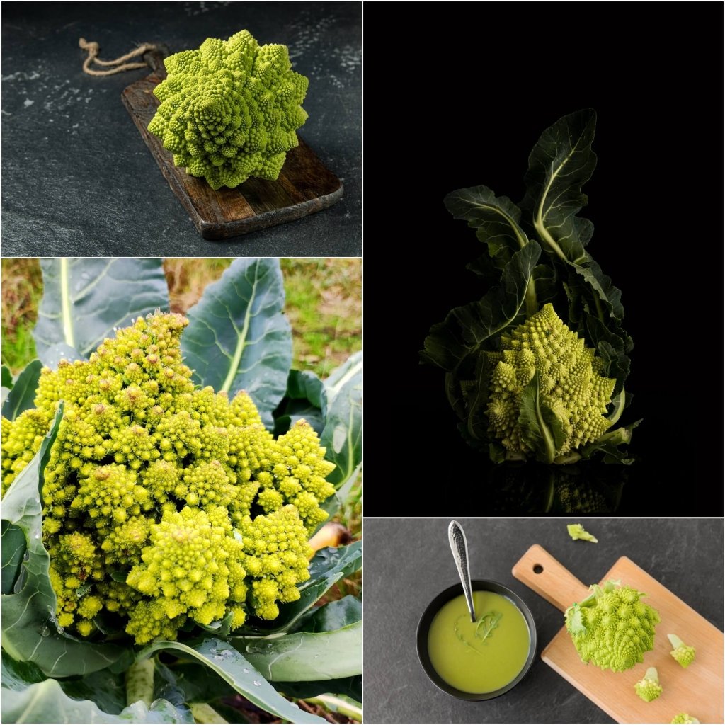 Broccoli - Romanesco seeds - Happy Valley Seeds