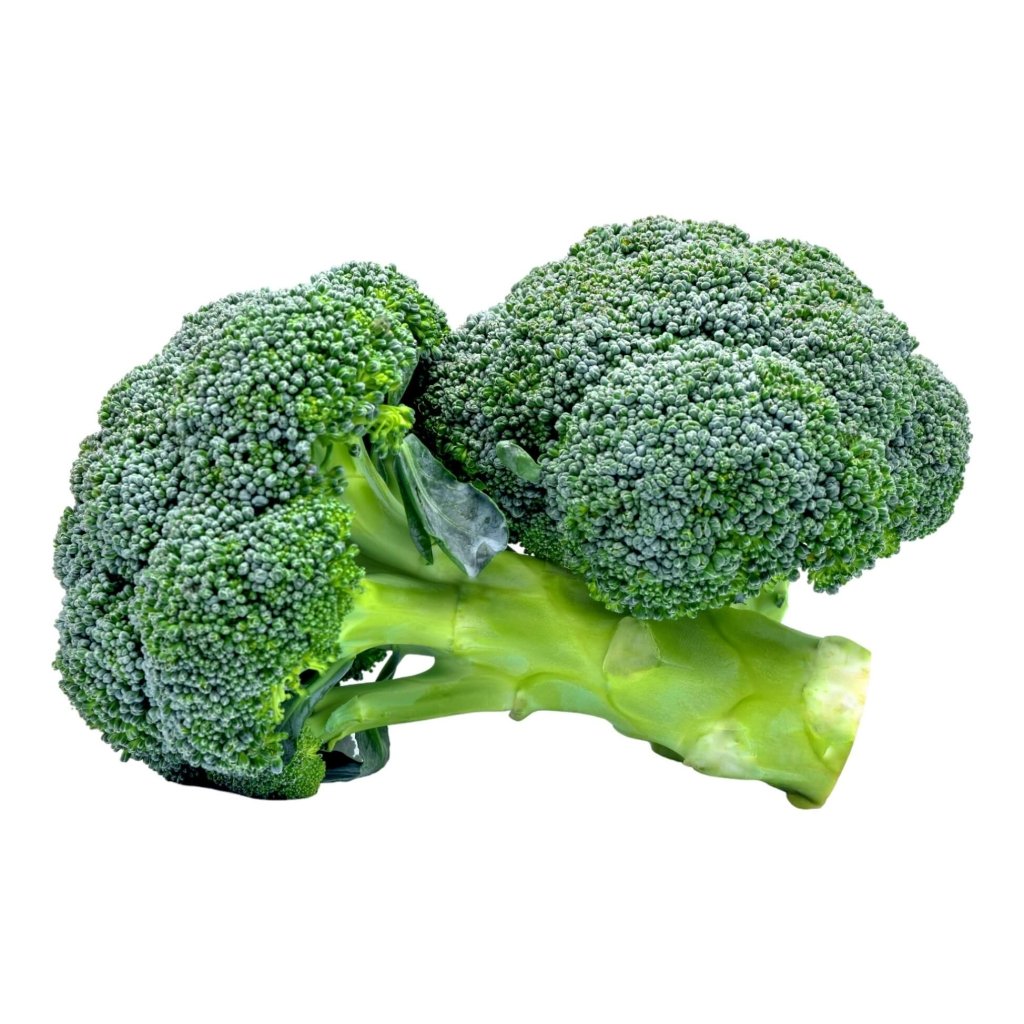 Broccoli - Solitaire F1 seeds - Happy Valley Seeds